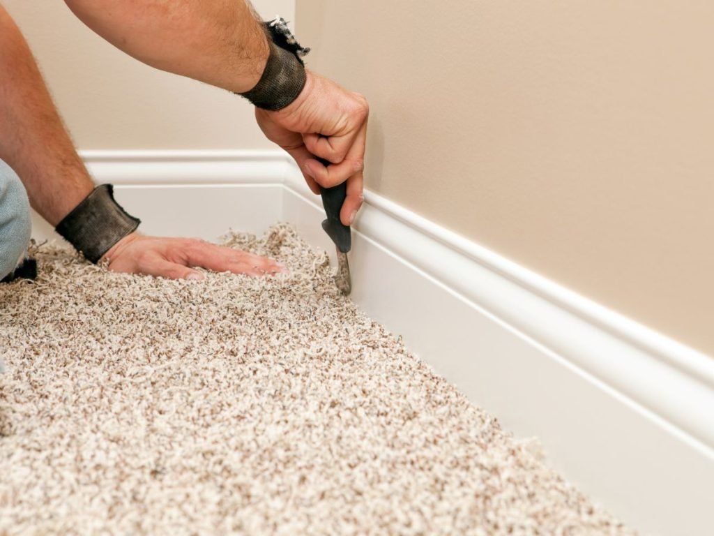 carpet cleaning service in chicago